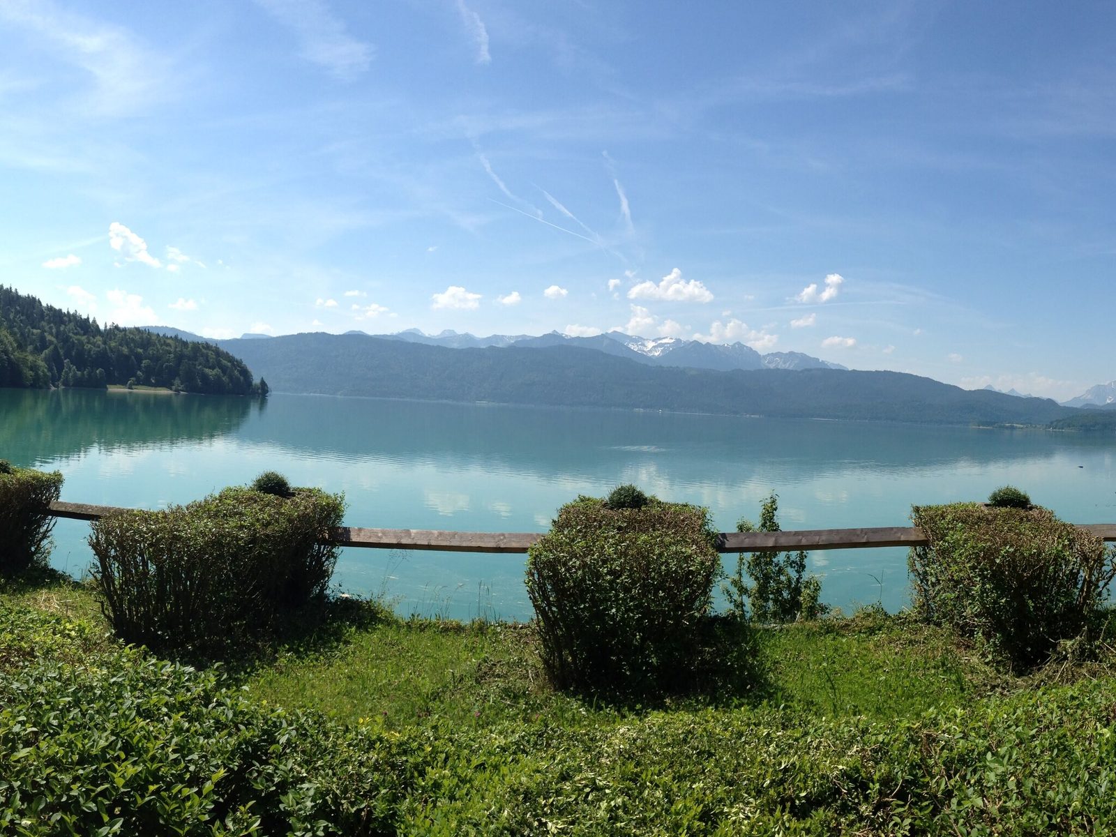 Echtes Foto aus Urfeld: geschnittene Hecken auf der Wiese, dahinter der Walchensee und das Karwendelgebirge